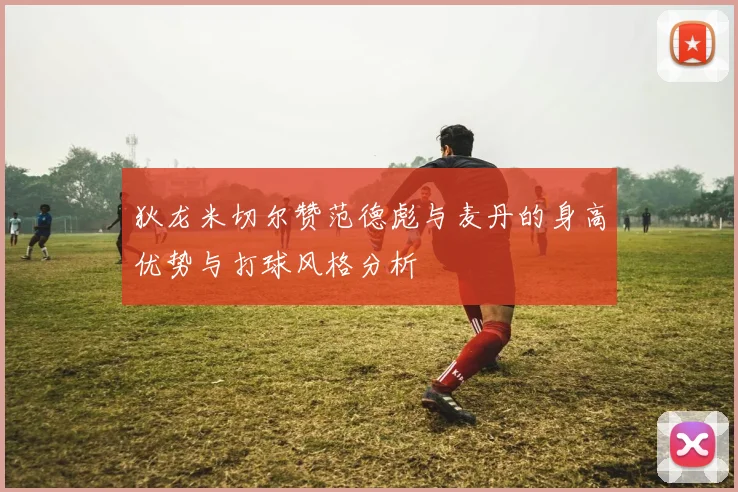 狄龙米切尔赞范德彪与麦丹的身高优势与打球风格分析