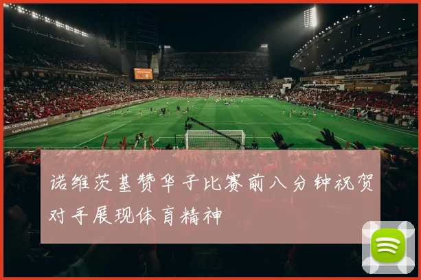 诺维茨基赞华子比赛前八分钟祝贺对手展现体育精神