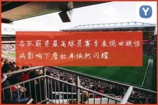 各队薪资最高球员赛季表现回顾伤病影响下詹杜库依然闪耀